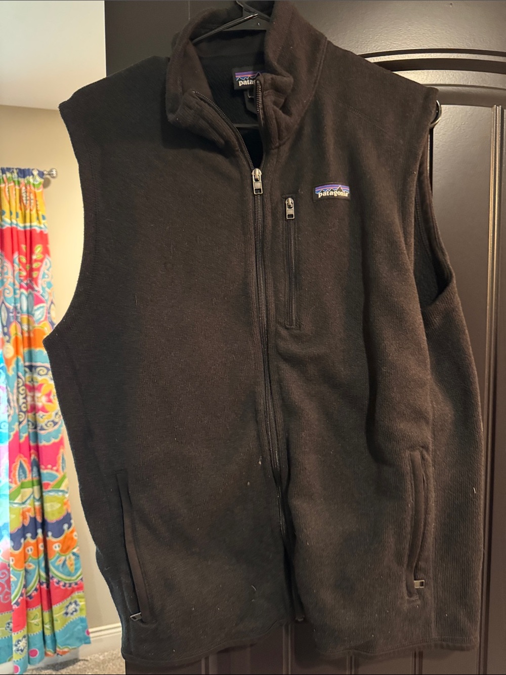 Patagonia Black Fleece Zip Vest